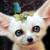:iconsianegoddess: