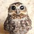 SibenSins :iconsibensins: