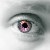 :iconsibuna86: