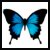 :iconsickamonkey: