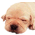 :iconsicksadlittleworl: