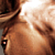 :iconsicnsane: