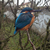Sid9215 :iconsid9215: