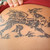 :iconsiddarta: