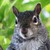 :iconsidder-bear:
