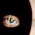 :iconsiddi-hartha: