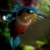 :iconside-1337: