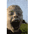 :iconside-fx23: