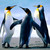 sidmac50 :iconsidmac50: