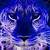 :iconsidnei-symone: