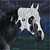 :iconsidney93: