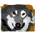 :iconsidran32: