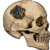 :iconsienyth: