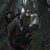 :iconsiera119: