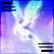 :iconsieranis: