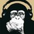 :iconsierp10: