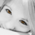 :iconsierra-dawn: