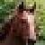 :iconsierraart: