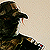 SierraGHOST :iconsierraghost: