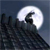:iconsifu-23:
