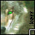 :iconsigath-stock: