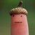 :iconsighingsmileyfaces: