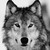 :iconsightlessvisionary: