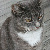 :iconsigned-sn: