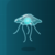 :iconsignerj: