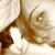 :iconsignorinadeethanol: