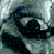 :iconsigoh: