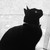 Sihuk :iconsihuk: