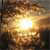 :iconsilbersky: