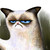 SilberVanna :iconsilbervanna: