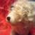 :iconsilence-beast:
