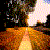 :iconsilence-ofthe-fallen: