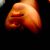 :iconsilenceriots:
