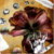 :iconsilenceshadows: