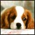 :iconsilene7: