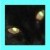 :iconsilenspoeta: