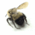 :iconsilent-arsonist: