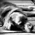 :iconsilent-dreamer09: