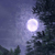 :iconsilent-garden: