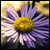 :iconSilent-Lightning: