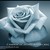 :iconsilent-maid: