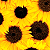 :iconsilent-sighs:
