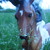:iconsilent-slew02: