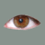 :iconsilent-watcher: