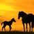 :iconsilent-wolf-stables: