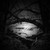 :iconsilentabyss8: